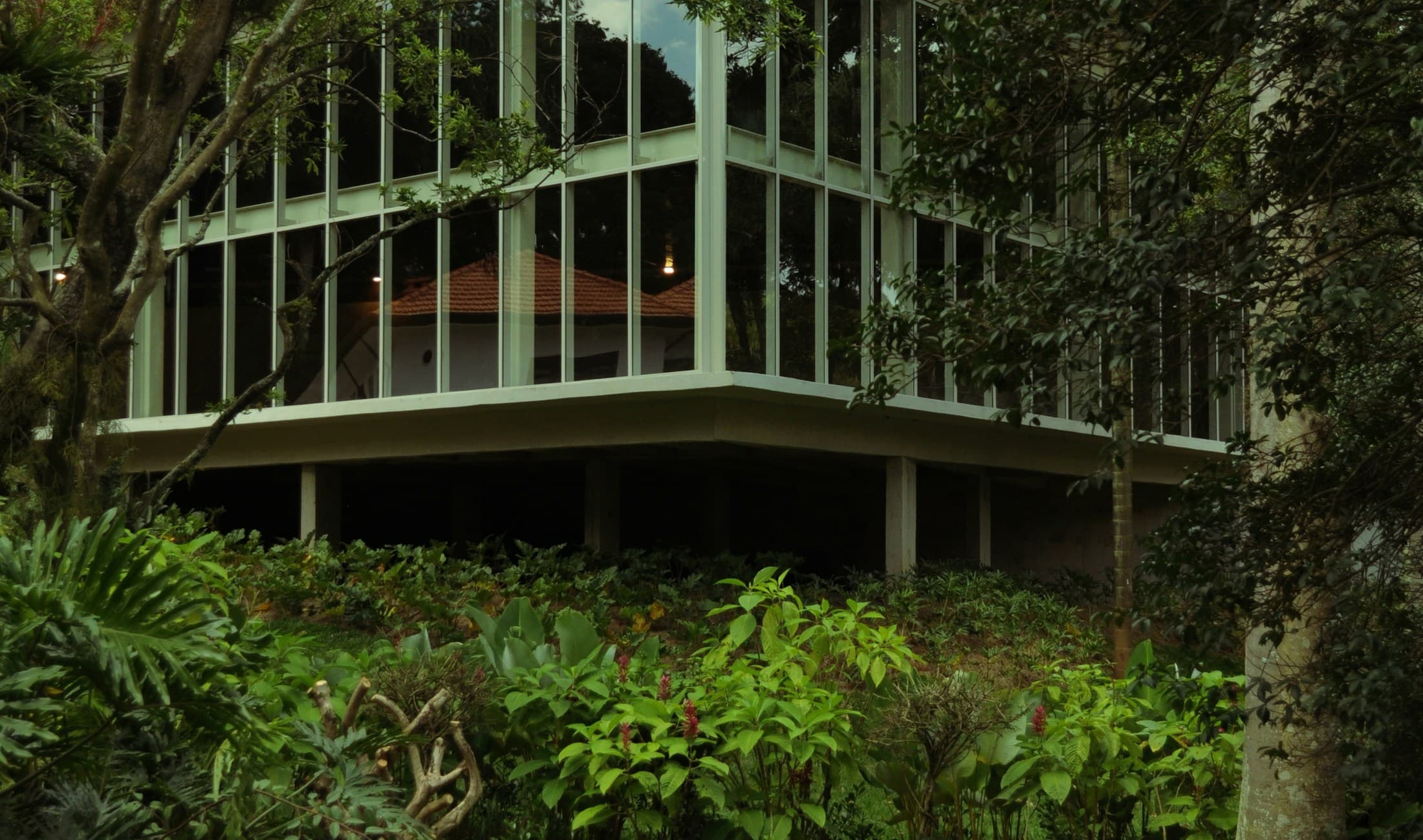 Fotografia real de uma casa entre árvores em São Paulo